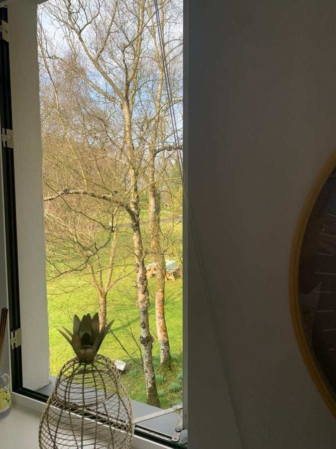 Treetops Coleraine Buitenkant foto